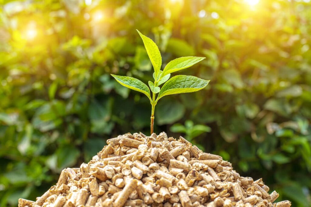 El poder renovable de la biomasa: Una fuente de energía sostenible para el futuro