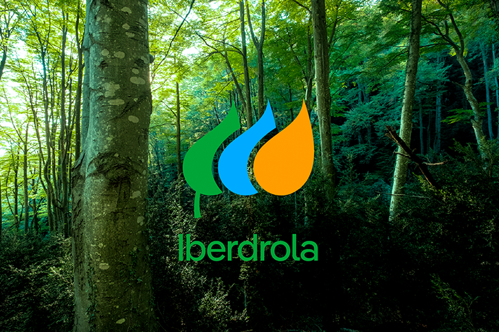 Descubre todo sobre Iberdrola: precios, servicios y beneficios energéticos